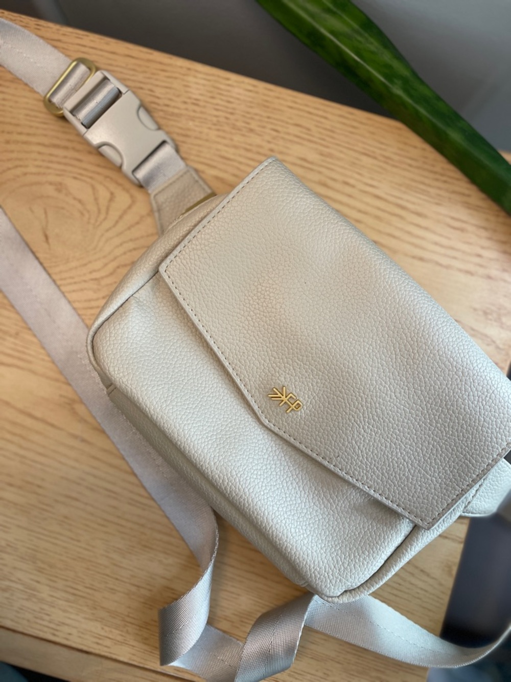 Freshly Picked Birch Crossbody Belt Bag